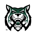 New Braunfels Christian Academy HS Wildcat Basketball logo