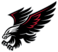 Calvary Baptist School-Conroe Calvary Eagles - Volleyball logo