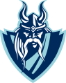 The Village School-Houston Vikings logo