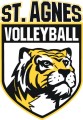 St. Agnes Academy-Houston Volleyball logo