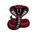 Keystone School-San Antonio Volleyball logo
