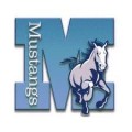 Lone Star High School Southeast - Giddings Varsity-Team logo