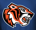 Dallas International School Varsity-Team logo