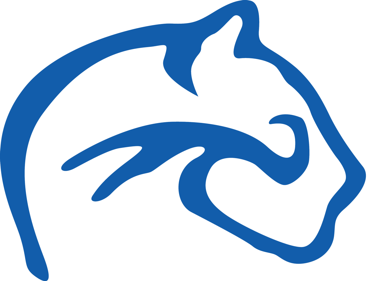 The Clariden School of Southlake Varsity logo