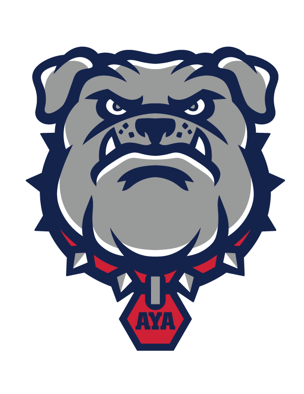 Akiba Yavneh Academy of Dallas Varsity-Team logo