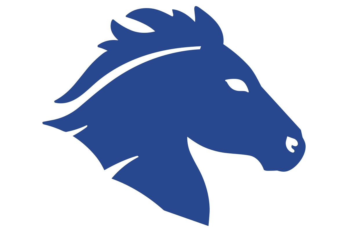 The Briarwood School-Houston Lady Mustangs logo