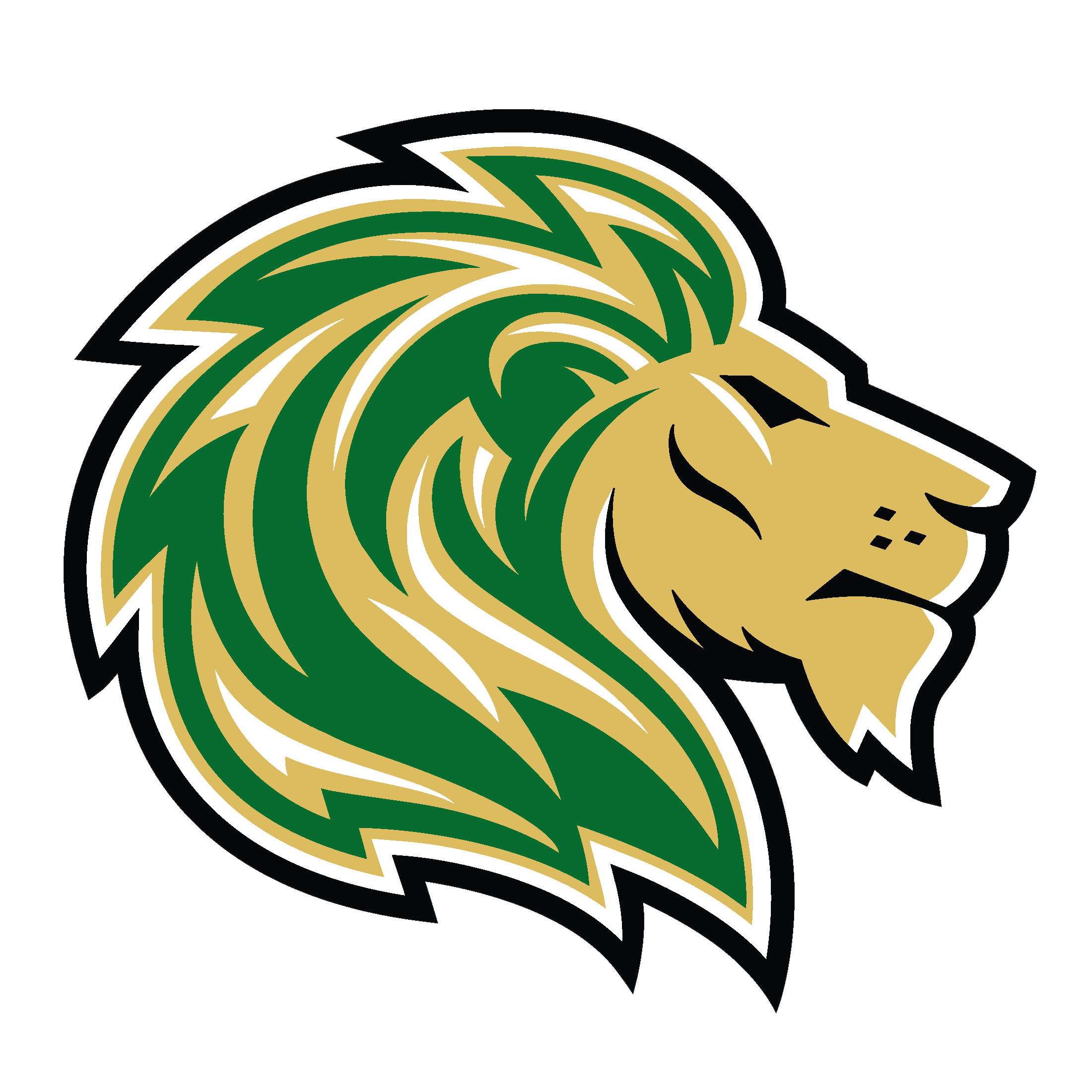 Denton Calvary Academy Varsity-Team logo