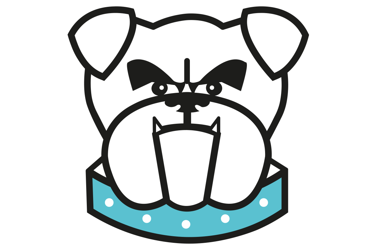 British International School of Houston Varsity logo