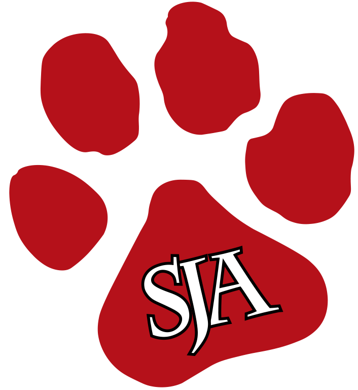 St. Joseph Academy-Brownsville Varsity-Team logo