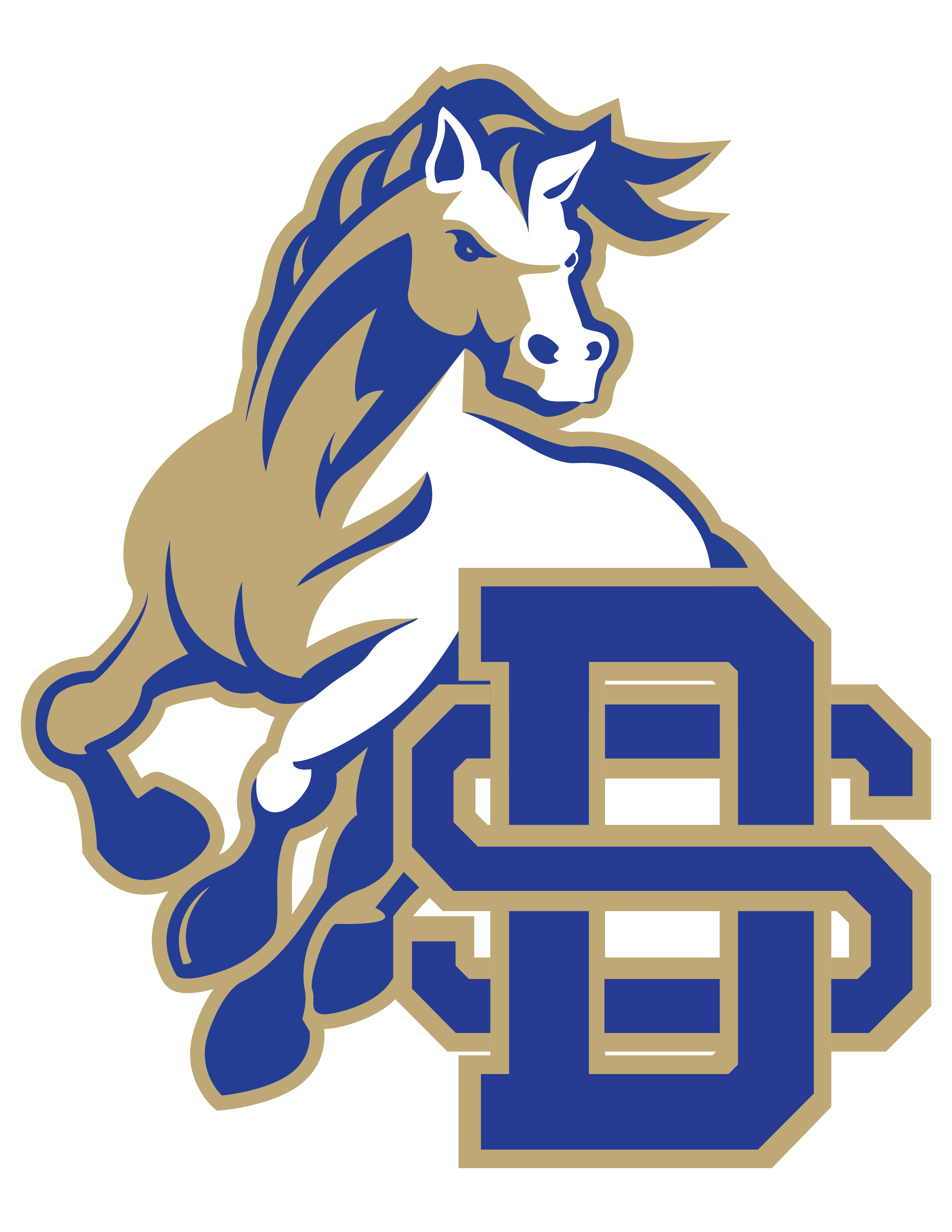 Divine Savior Academy-Liberty Hill Girls Varsity Volleyball logo